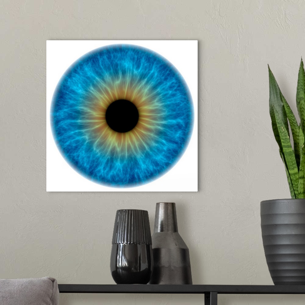 A modern room featuring Blue eye. Computer artwork of a close-up of the iris and pupil of an eye. The iris, a coloured mu...