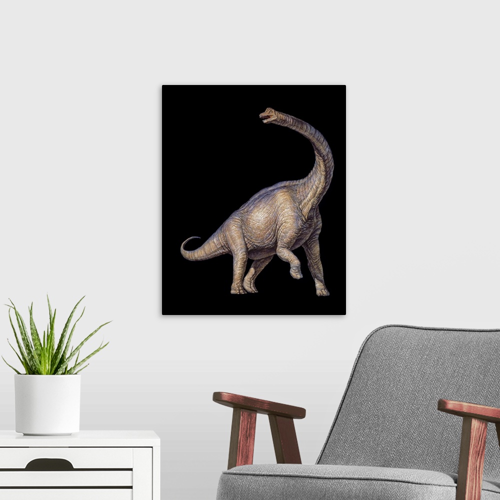 A modern room featuring Brachiosaurus dinosaur. Artwork of a Brachiosaurus dinosaur. This long-necked sauropod dinosaur l...
