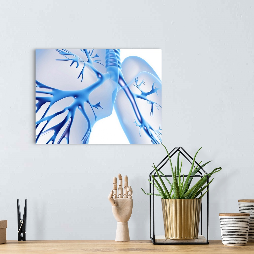 A bohemian room featuring Bronchial tree. Computer artwork representing a human bronchial tree and lungs. The human bronchi...