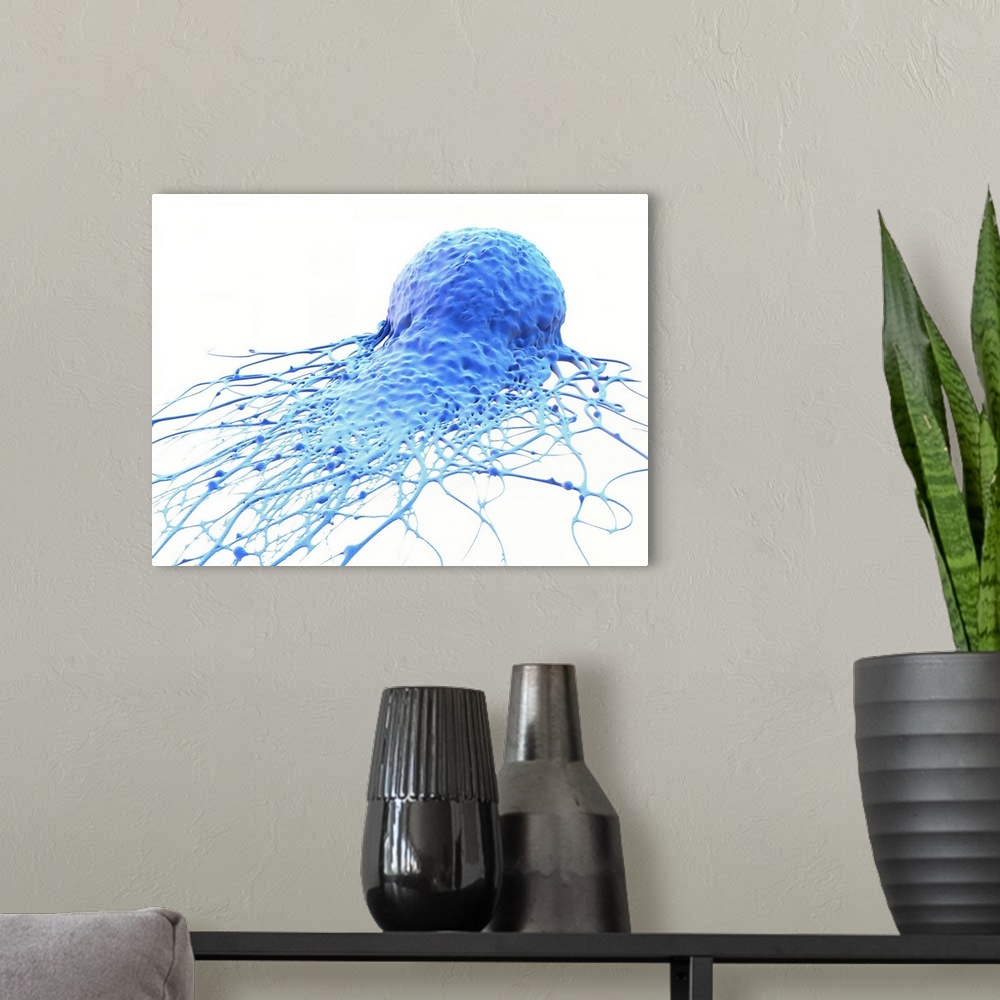 A modern room featuring Cancer cell. Computer illustration of cancer cell.