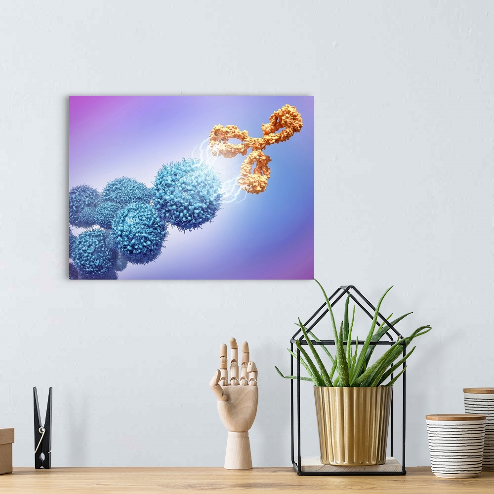 A bohemian room featuring Cancer drug attacking cancer cells. 3D computer illustration of the monoclonal antibody drug cetu...