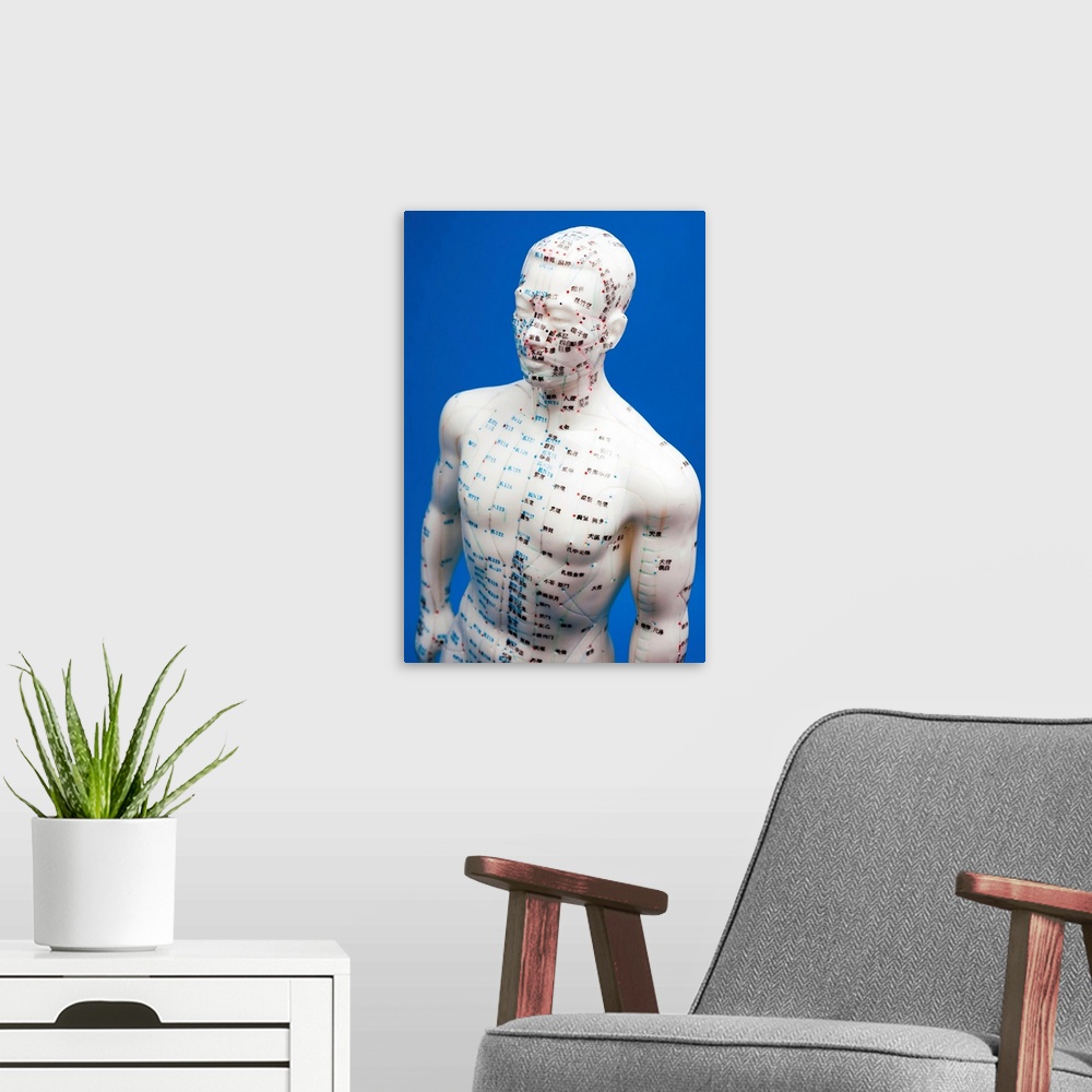 A modern room featuring Chinese acupuncture model. Front view of a male Chinese acupuncture model, with marking and numbe...