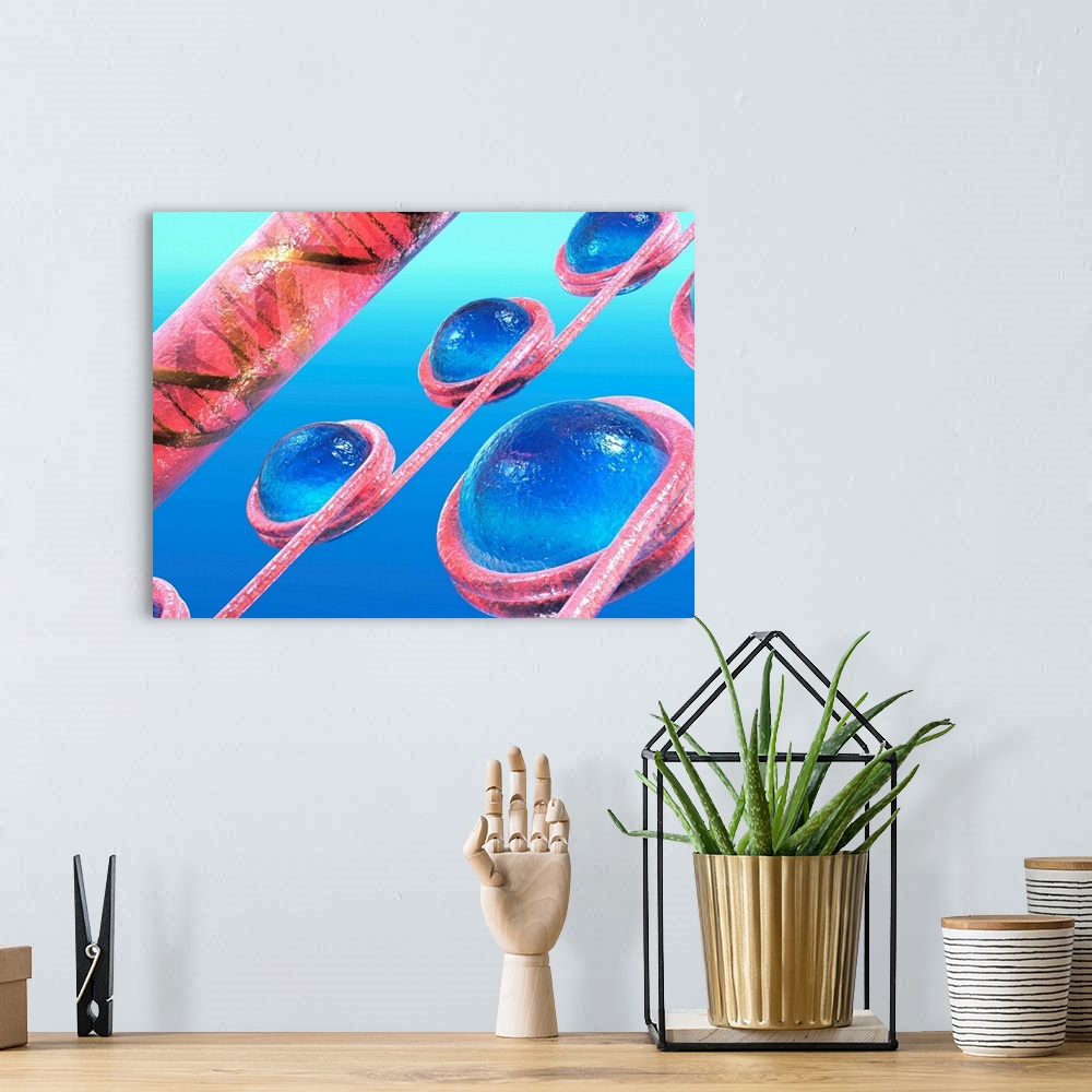 A bohemian room featuring Chromatin beads. Computer artwork of strands of DNA (deoxyribonucleic acid, pink) coiled around h...