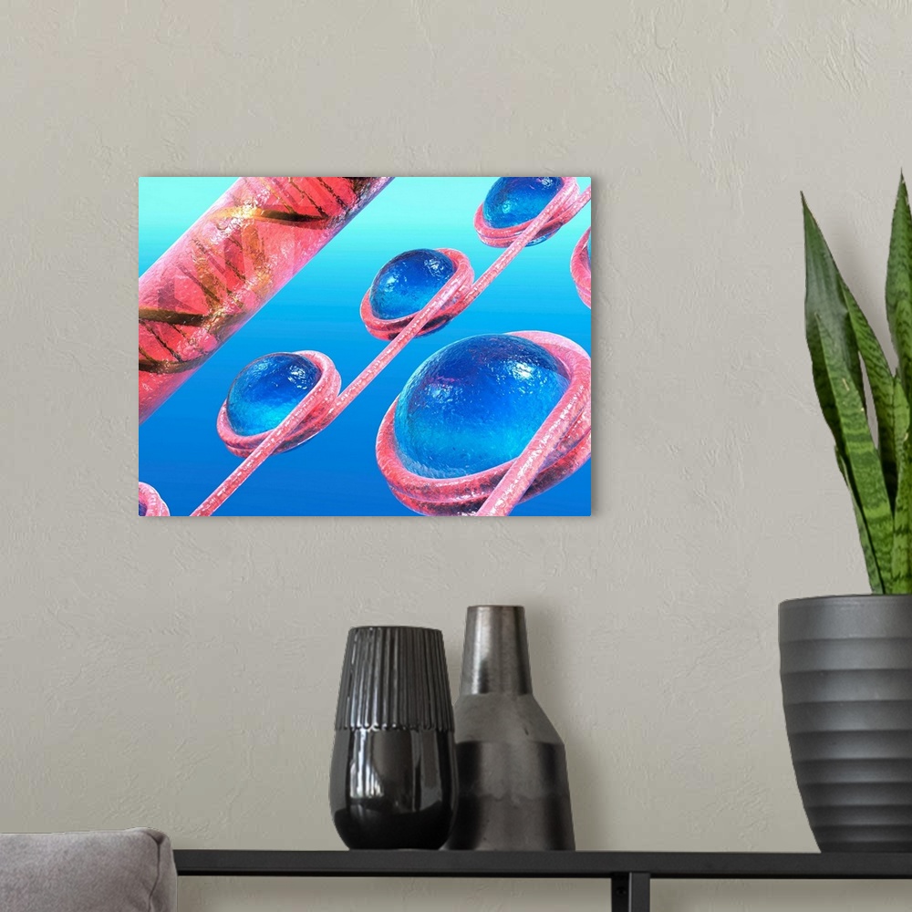 A modern room featuring Chromatin beads. Computer artwork of strands of DNA (deoxyribonucleic acid, pink) coiled around h...