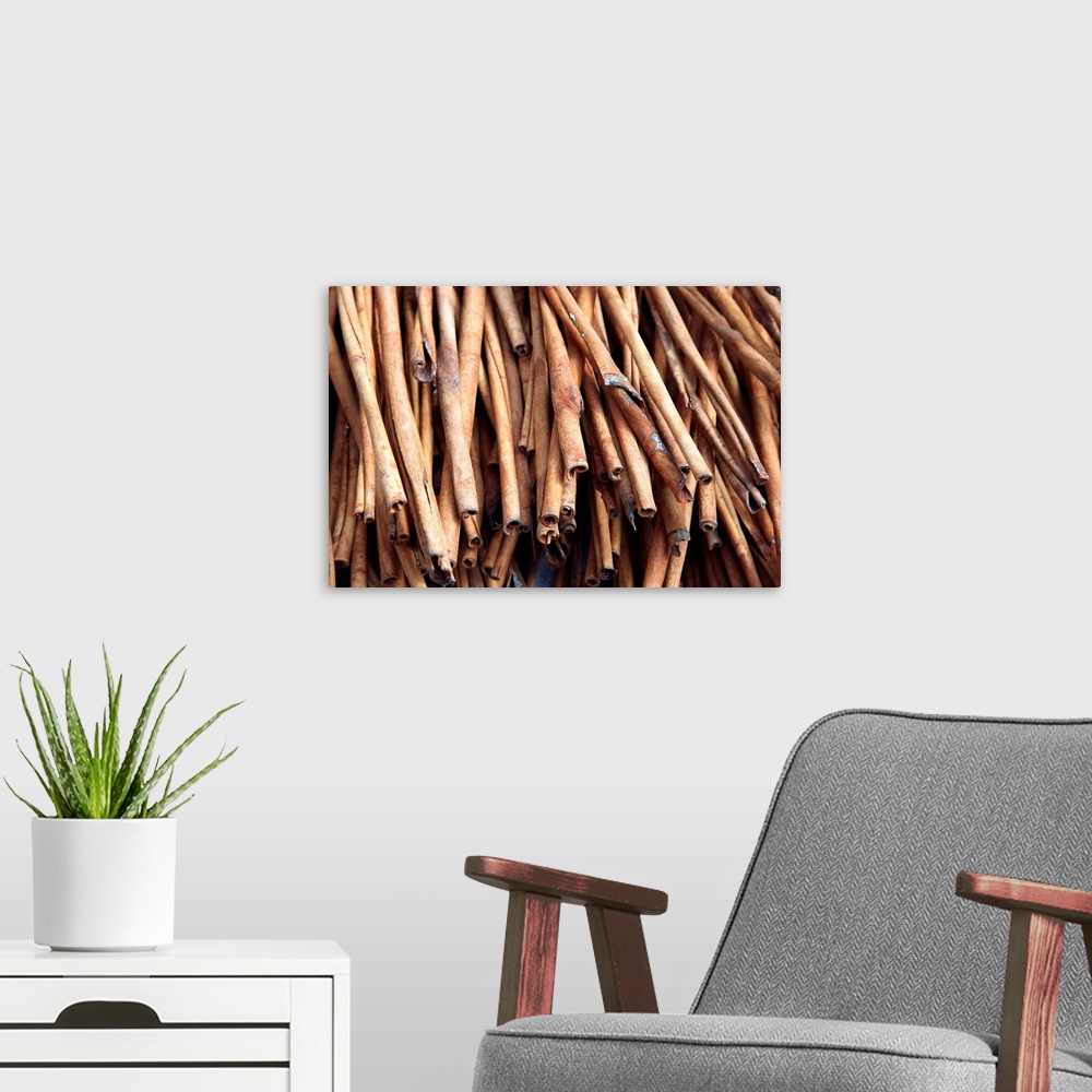 A modern room featuring Indonesia, Sumatra, abundance of cinnamon sticks made from the dried bark of the cinnamon tree (C...