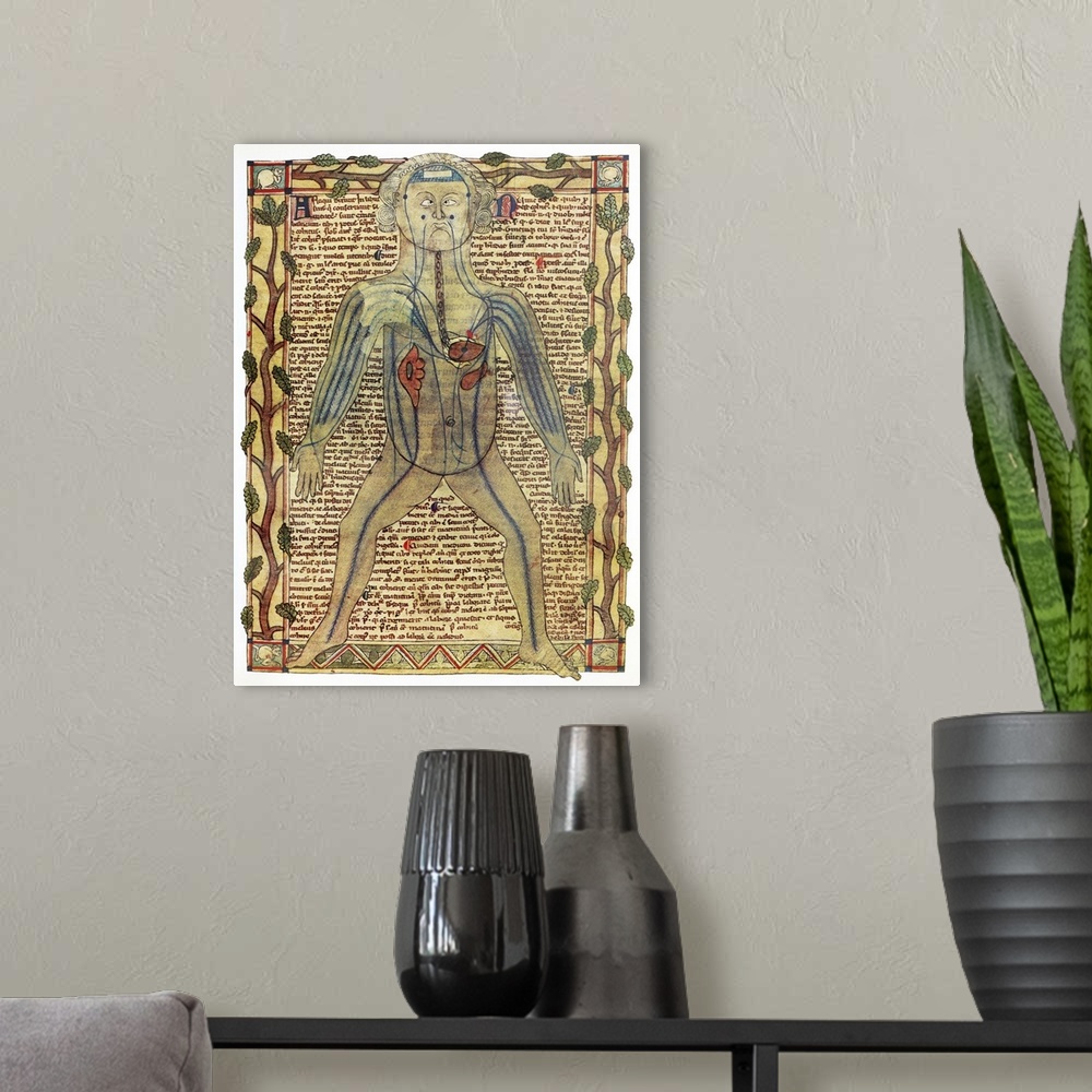 A modern room featuring Circulatory system. Historical artwork of a human figure with internal organs and blood vessels s...