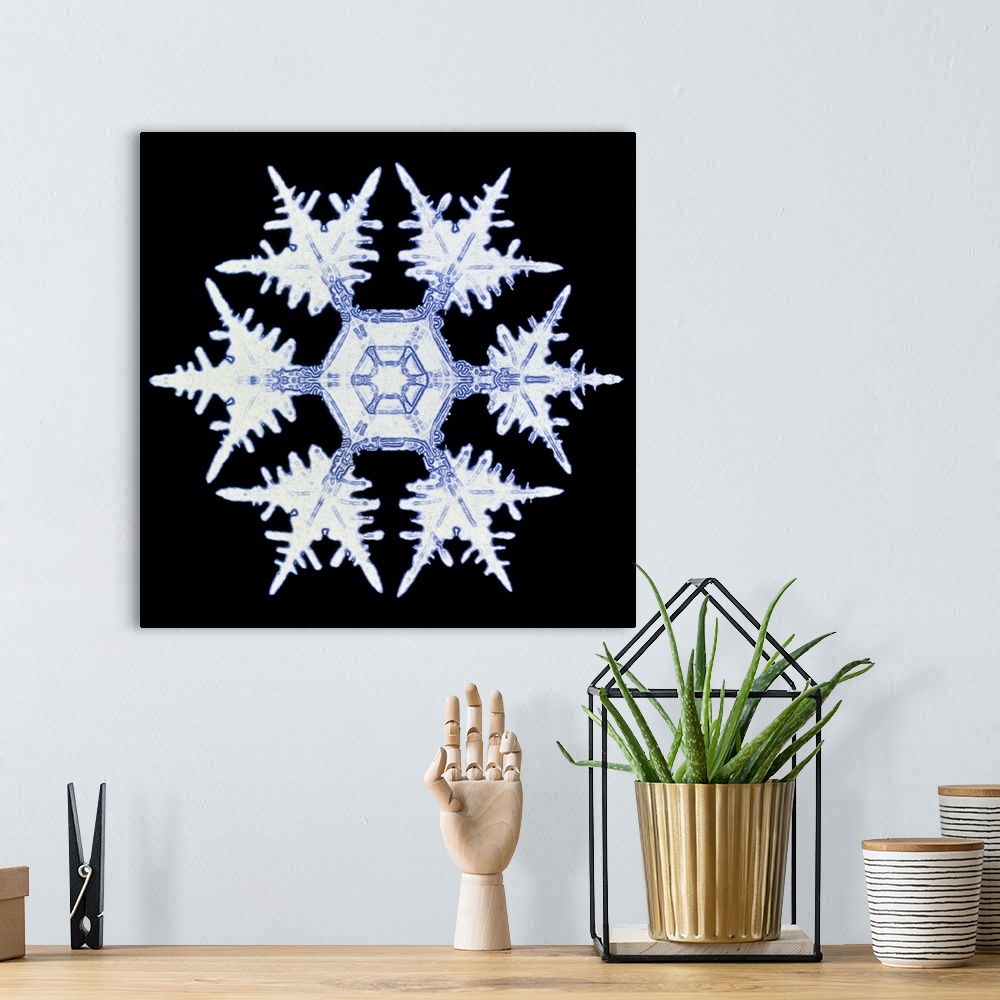 A bohemian room featuring Snowflake. Computer-enhanced image of a snow crystal. Snowflakes show a typical hexagonal symmetr...