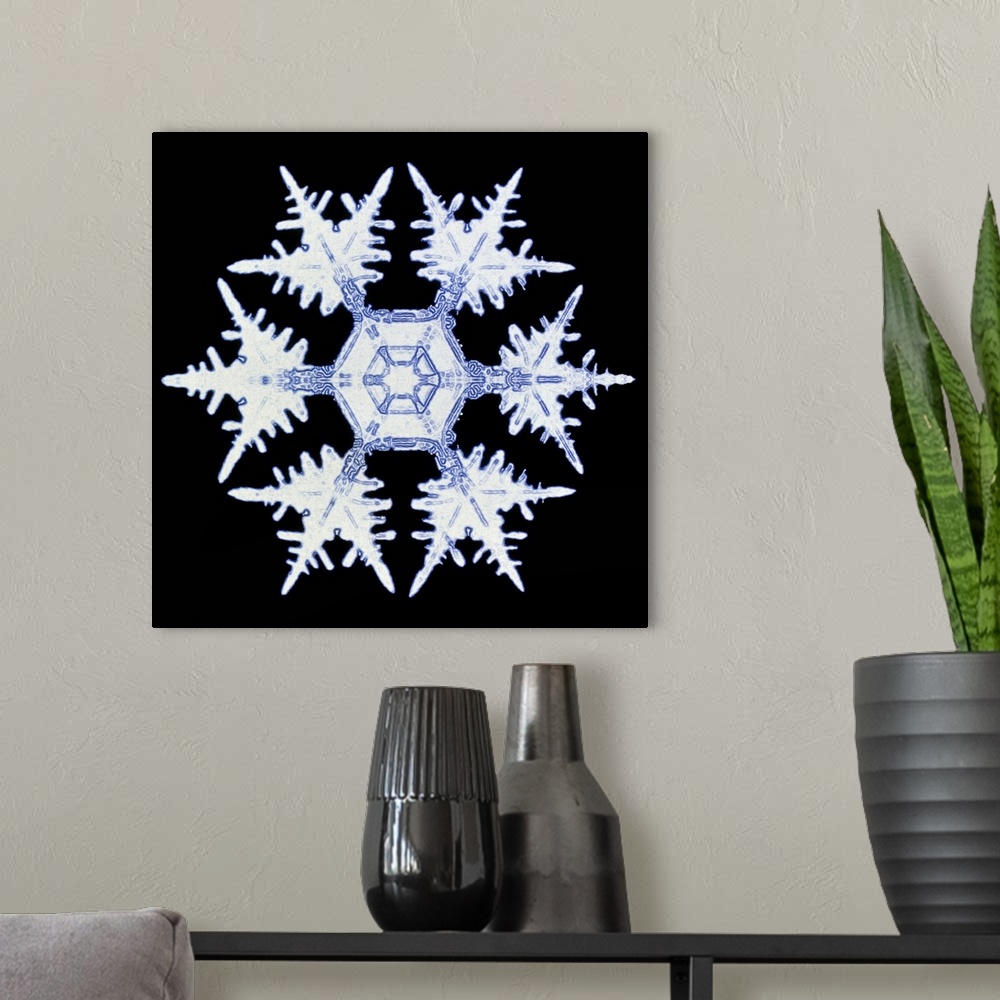 A modern room featuring Snowflake. Computer-enhanced image of a snow crystal. Snowflakes show a typical hexagonal symmetr...