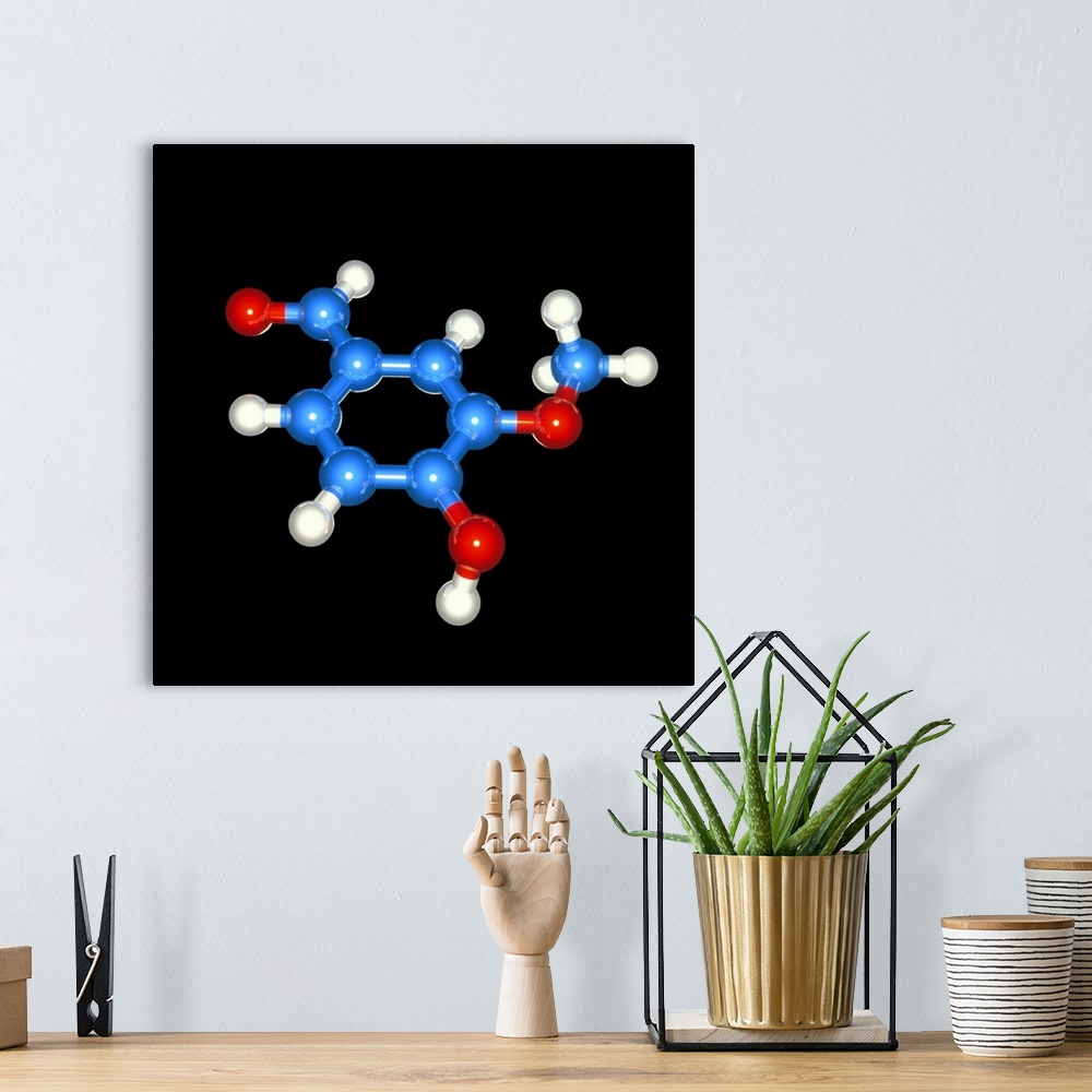 A bohemian room featuring Vanillin. Computer model of a molecule of vanillin (formula: C8H8O3). The atoms are spherical and...