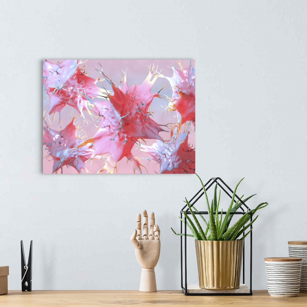 A bohemian room featuring Dendritic cells, artwork. Dendritic cells, a type of white blood cell, are called antigen present...