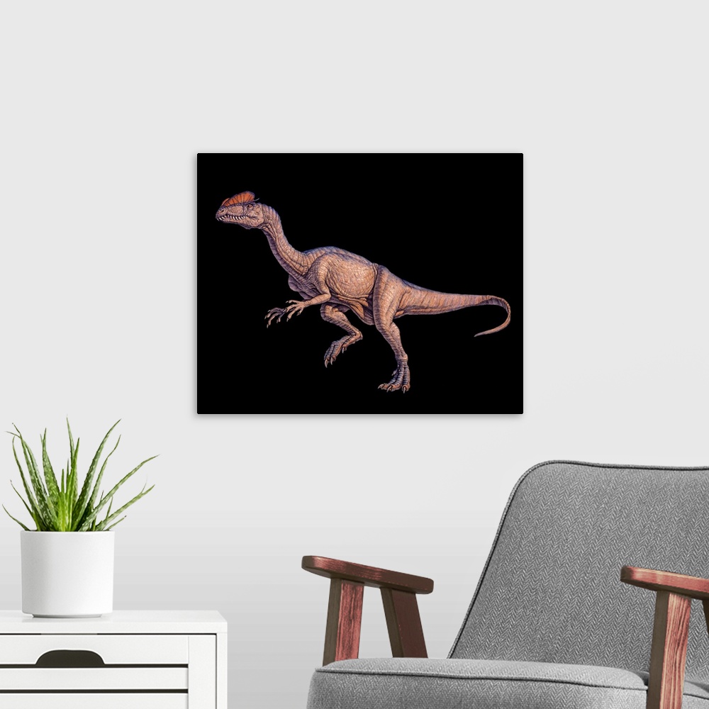 A modern room featuring Dilophosaurus dinosaur, artwork. This dinosaur was one of the first large predatory dinosaurs, li...