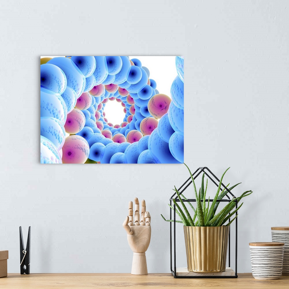 A bohemian room featuring DNA, computer artwork. DNA (deoxyribonucleic acid) is the molecule that controls the growth, deve...