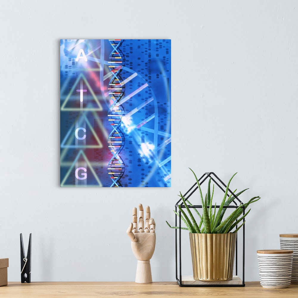 A bohemian room featuring DNA. Computer artwork of a DNA (deoxyribonucleic acid) double helix (centre) and its constituent ...