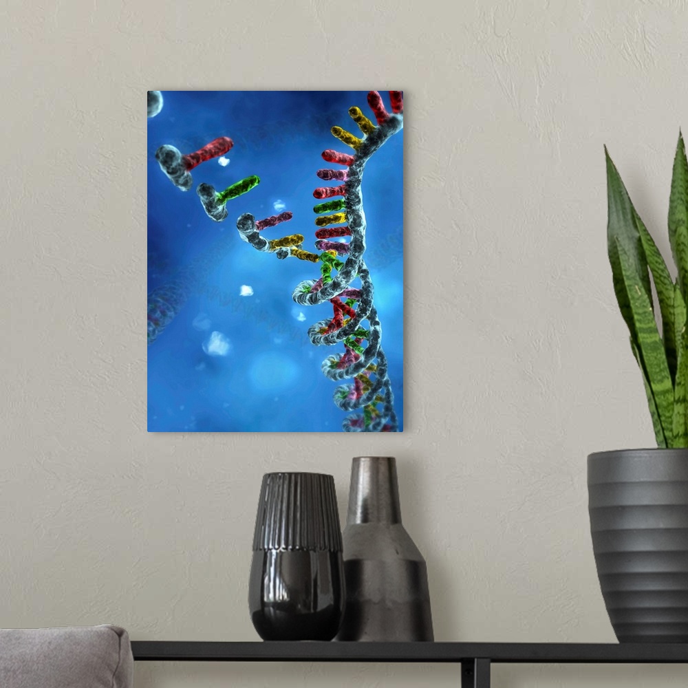 A modern room featuring DNA assembly. Computer artwork showing nucleic acid bases (upper left) binding together to form a...