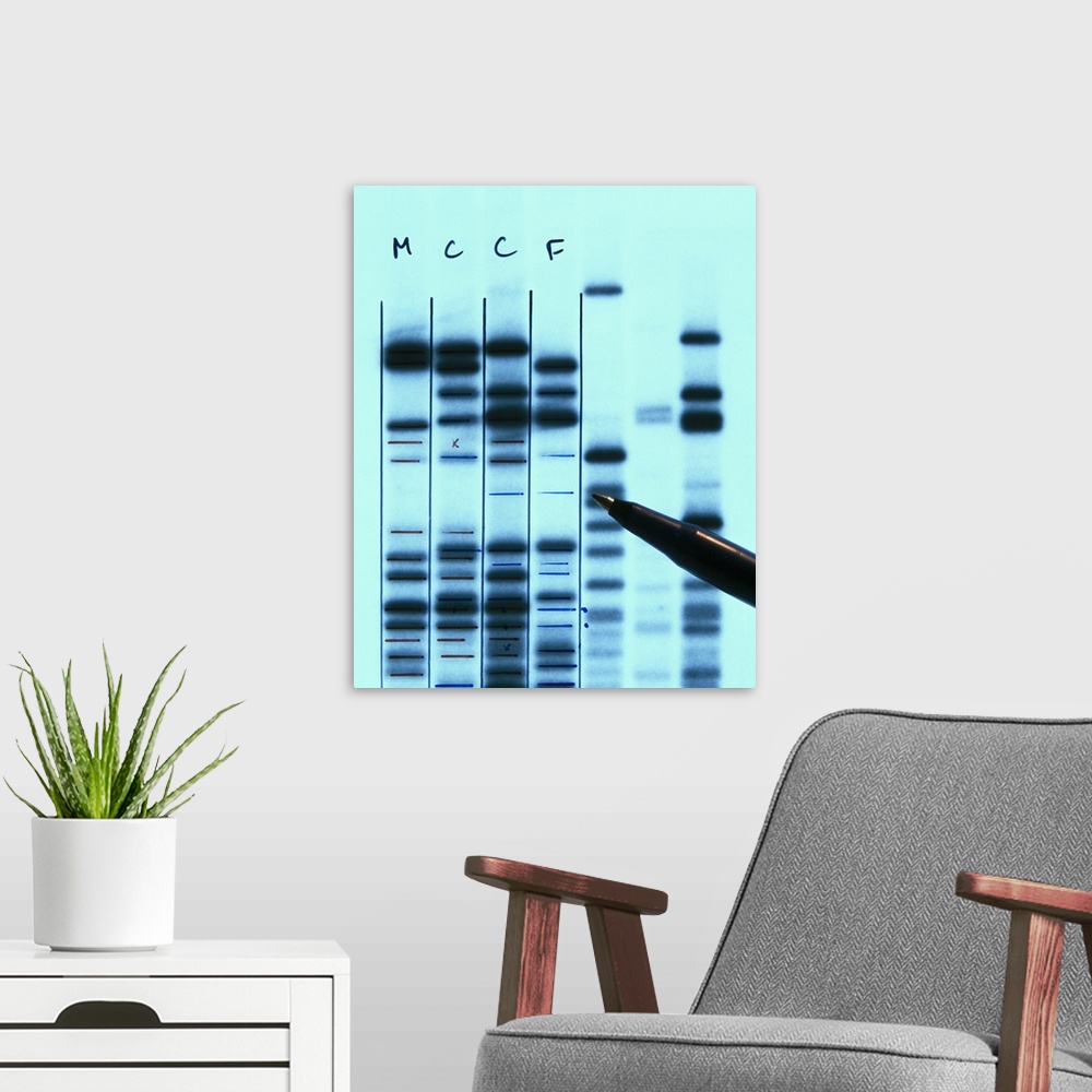 A modern room featuring Part of an X-ray (or autoradiograph) of bands of DNA produced by the technique of electrophoresis...