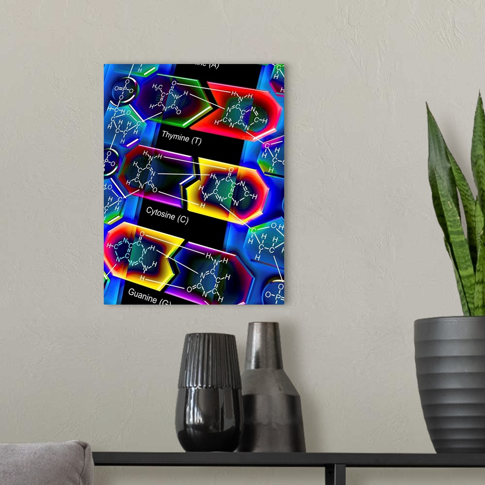 A modern room featuring DNA molecule. Computer artwork of a molecule of DNA (deoxyribonucleic acid) with the chemical for...