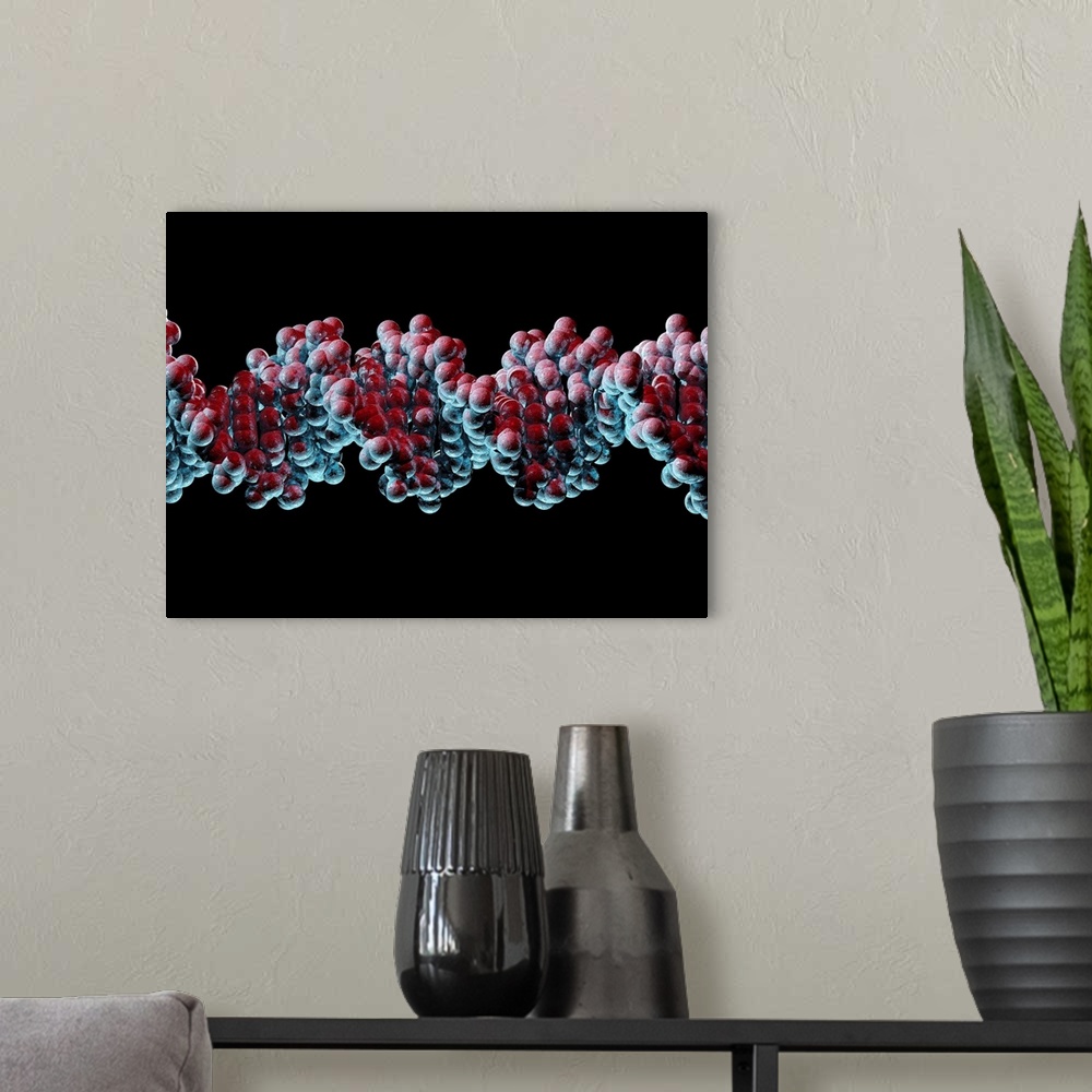 A modern room featuring DNA molecule. Computer artwork of a molecule of DNA (deoxyribonucleic acid). DNA is composed of t...
