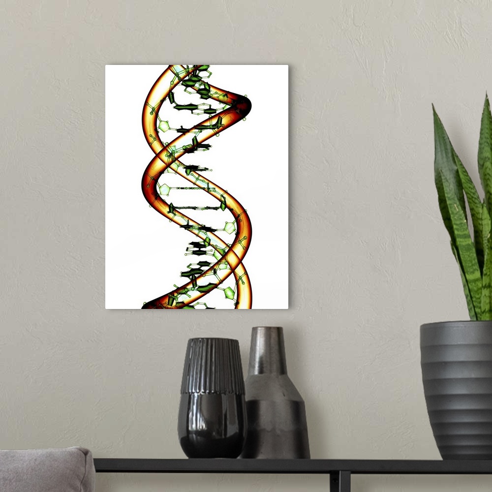 A modern room featuring DNA molecule, conceptual computer artwork.