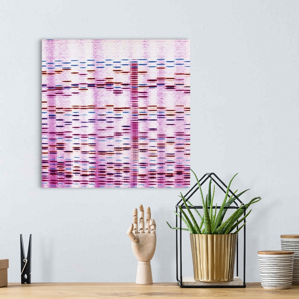 A bohemian room featuring DNA autoradiographs. Banded DNA sequences or genetic \fingerprints\ overlapping on a computer scr...