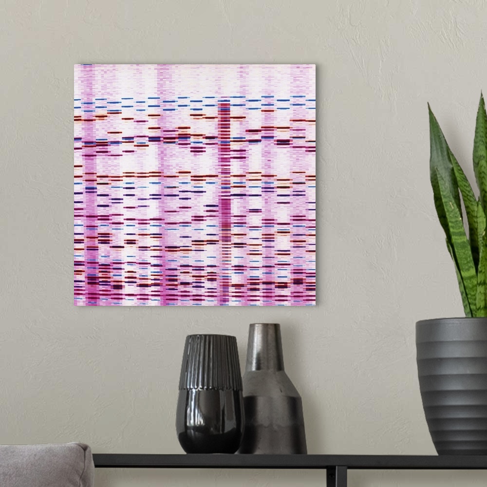 A modern room featuring DNA autoradiographs. Banded DNA sequences or genetic \fingerprints\ overlapping on a computer scr...