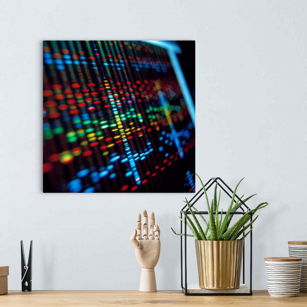 A bohemian room featuring DNA sequence. DNA sequence or \genetic fingerprint\ on a computer monitor screen. Each coloured b...