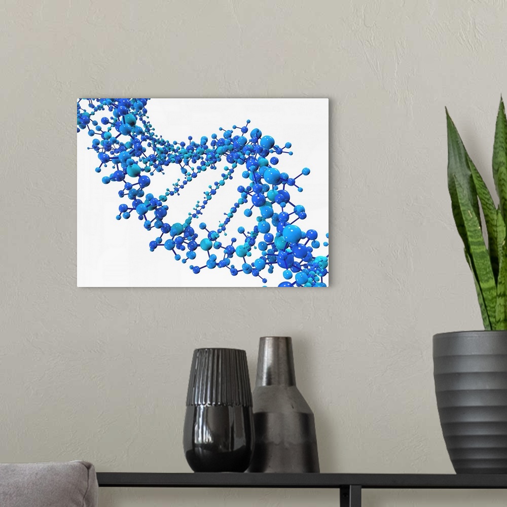 A modern room featuring Computer artwork of a DNA (Deoxyribonucleic acid) strand, made of spheres.