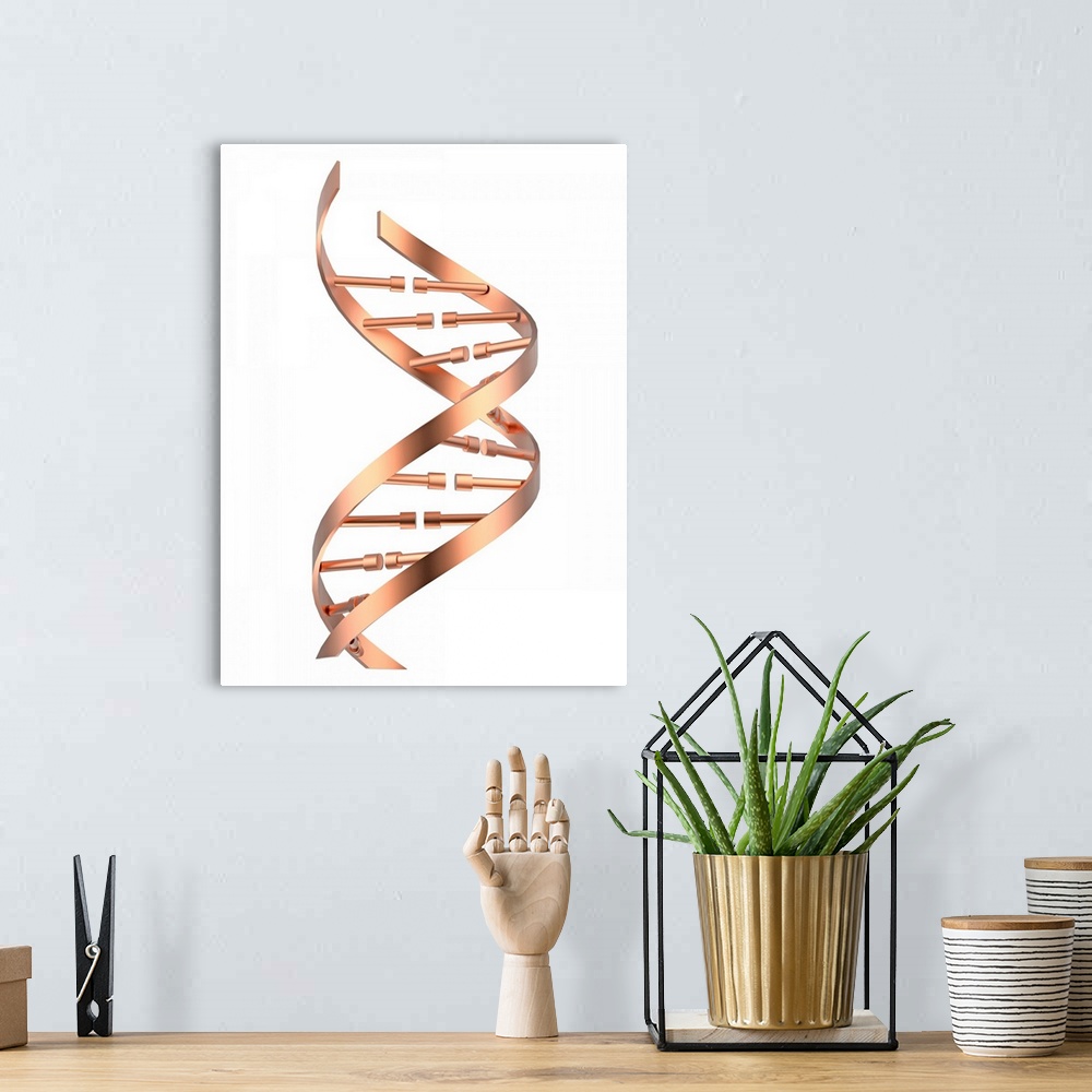 A bohemian room featuring DNA (deoxyribonucleic acid) strand, illustration.