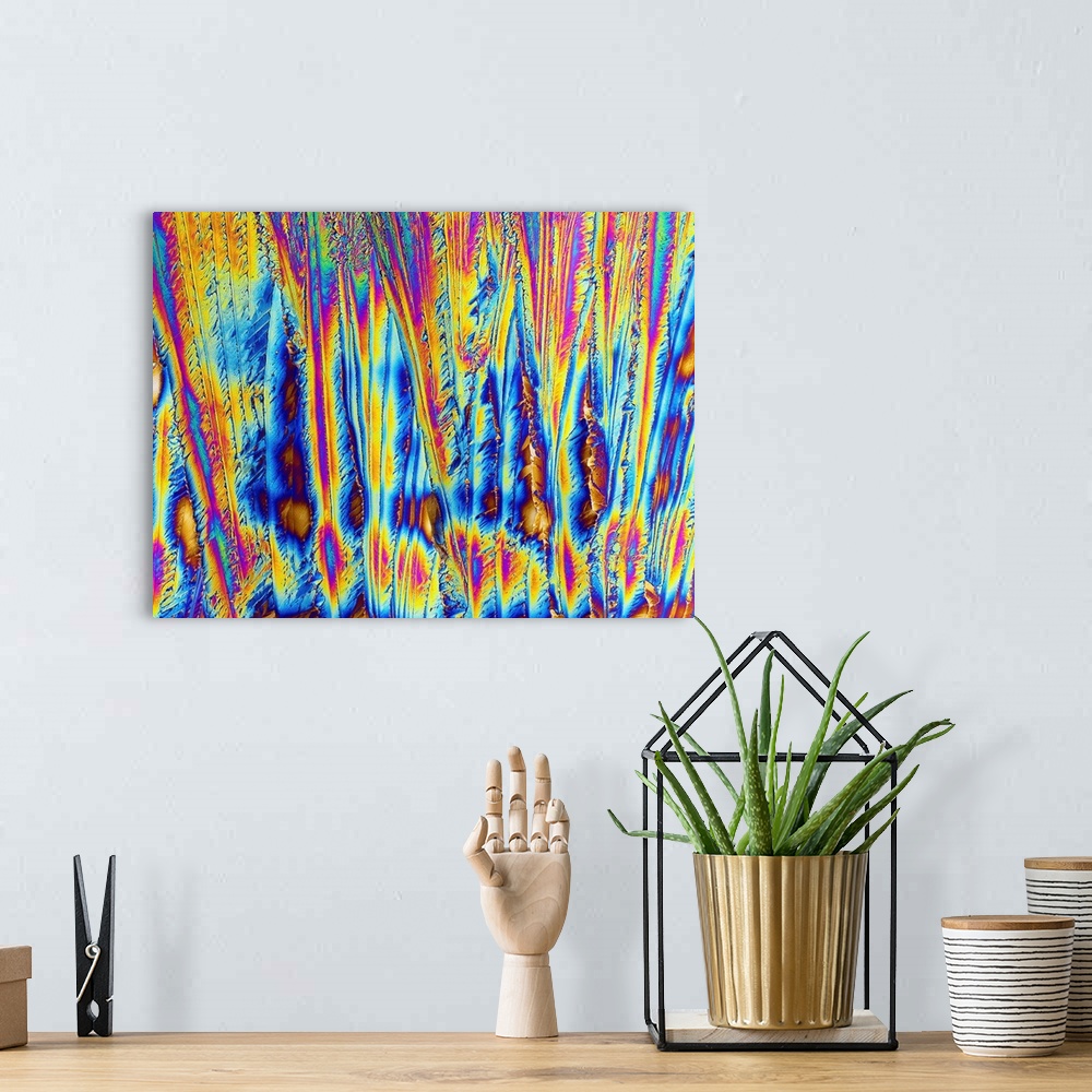 A bohemian room featuring Dopamine neurotransmitter polarised light micrograph. Dopamine is a chemical released by the brai...