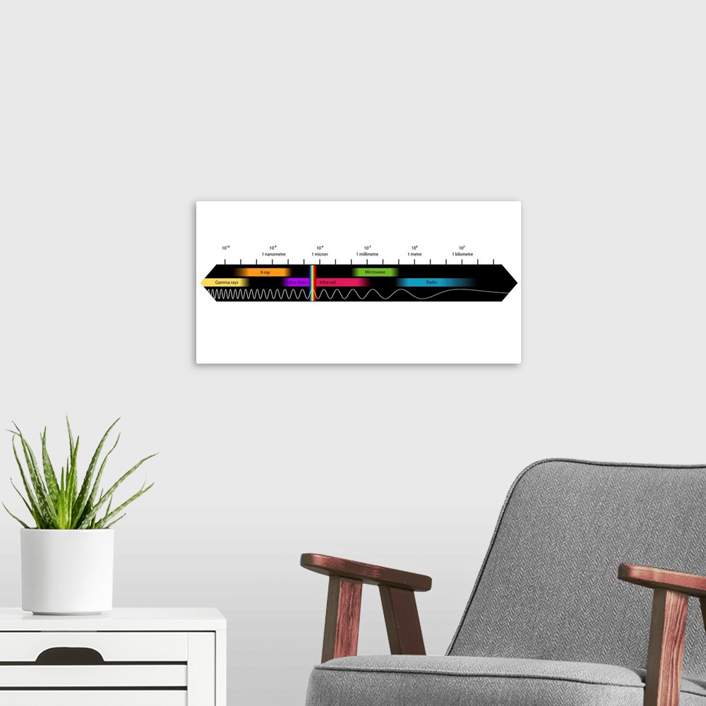 A modern room featuring Electromagnetic spectrum, computer artwork. The changing wavelength of electromagnetic (EM) radia...