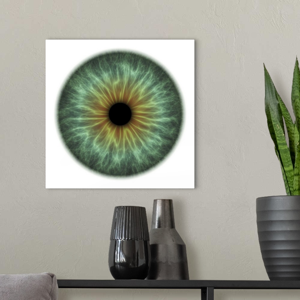 A modern room featuring Eye. Computer artwork of a close-up of a contracted iris and pupil of an eye. The iris, a coloure...