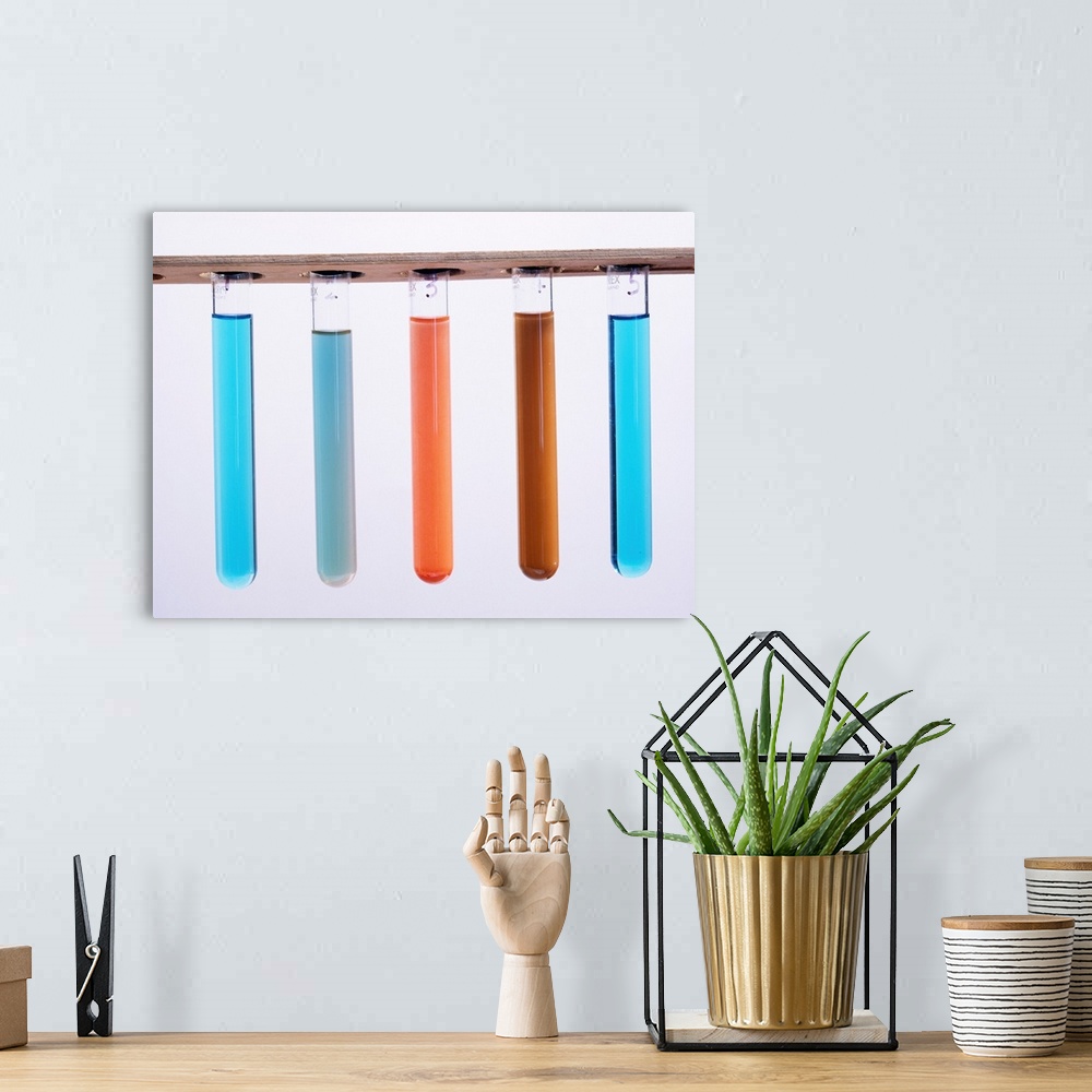 A bohemian room featuring Fehling's test for sugars. Five test tubes showing the colour changes observed when using Fehling...