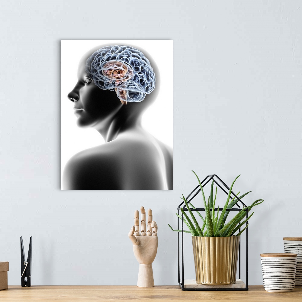 A bohemian room featuring Computer artwork of a female human head with brain.