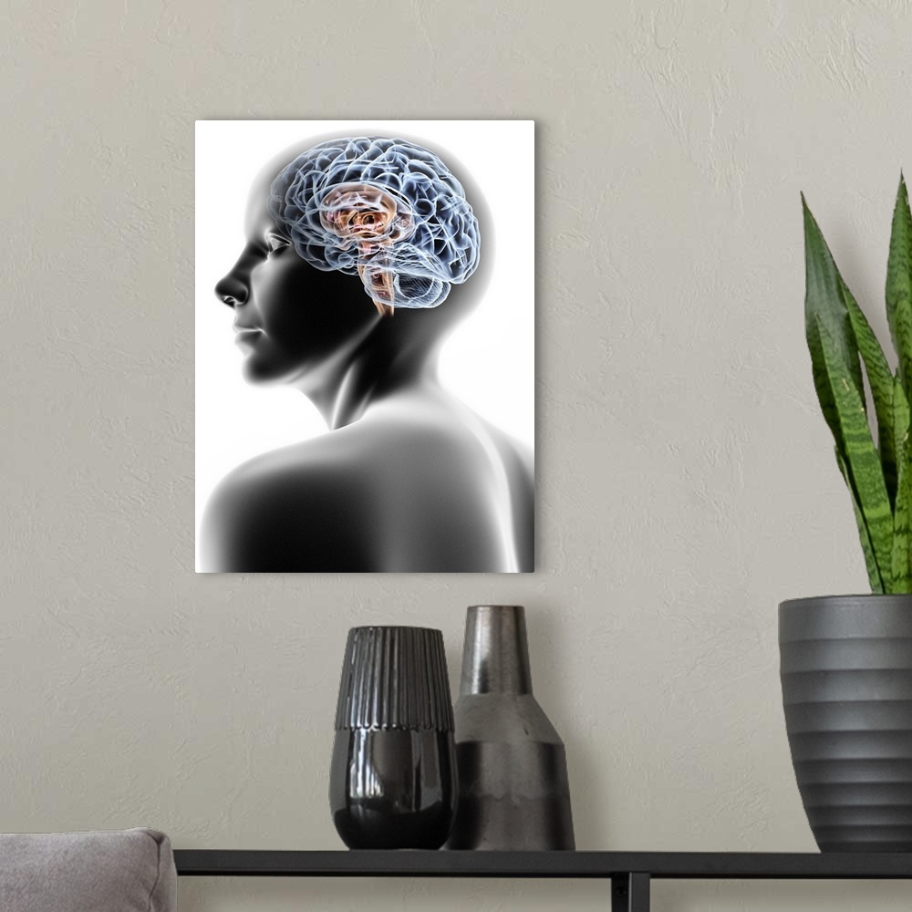 A modern room featuring Computer artwork of a female human head with brain.