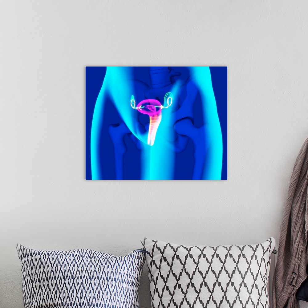 A bohemian room featuring Female reproductive system, computer artwork.