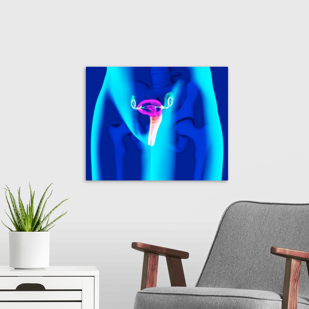 A modern room featuring Female reproductive system, computer artwork.
