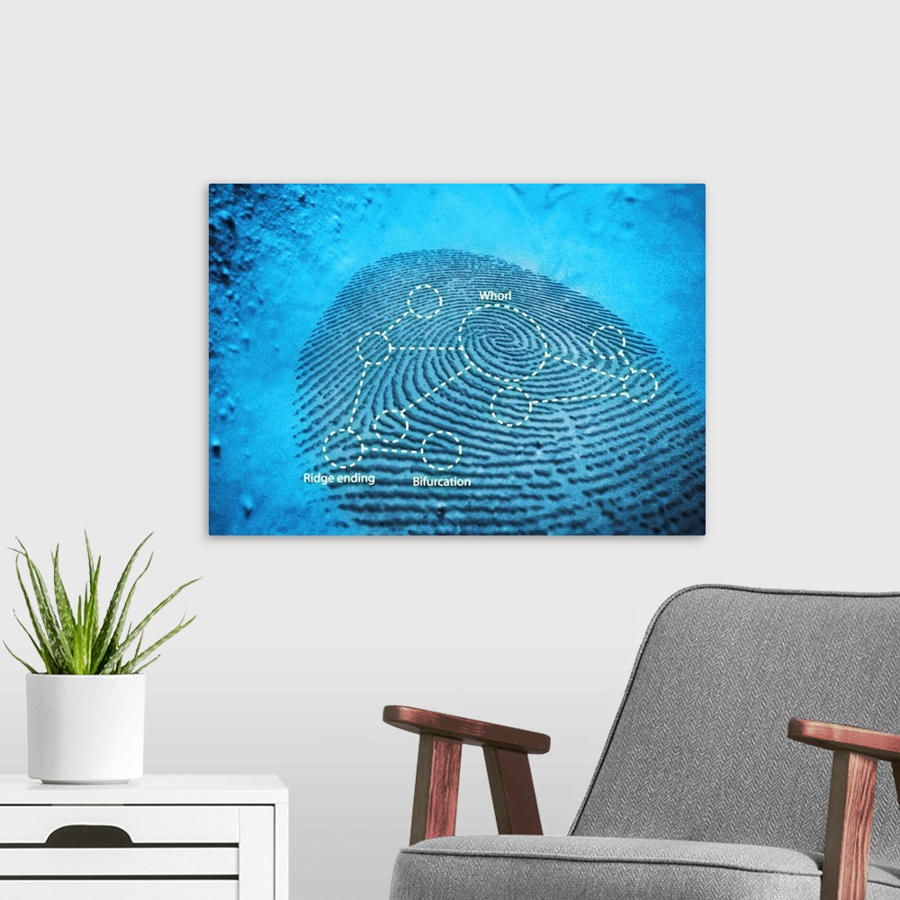 A modern room featuring Fingerprint. Computer artwork of a fingerprint residue showing typical patterns for feature ident...