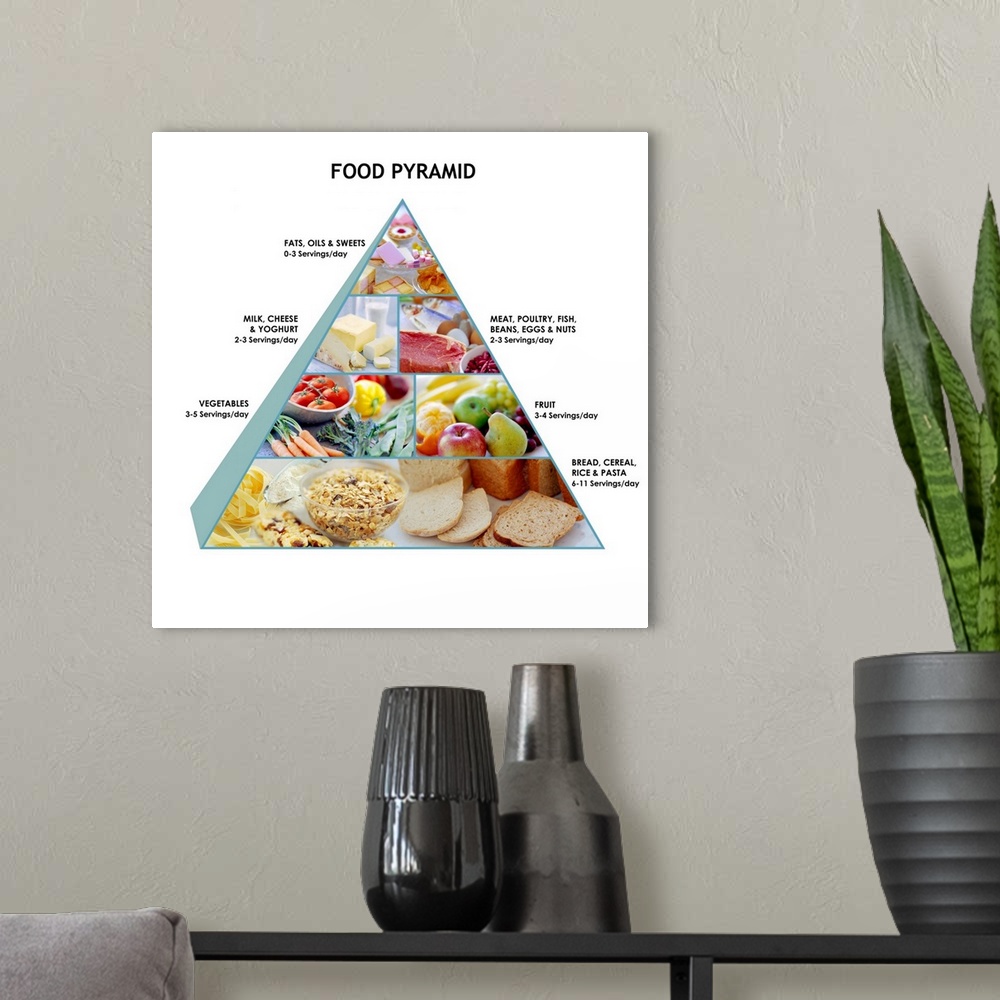A modern room featuring Food pyramid showing the recommended proportions of food types for a healthy, balanced diet. The ...