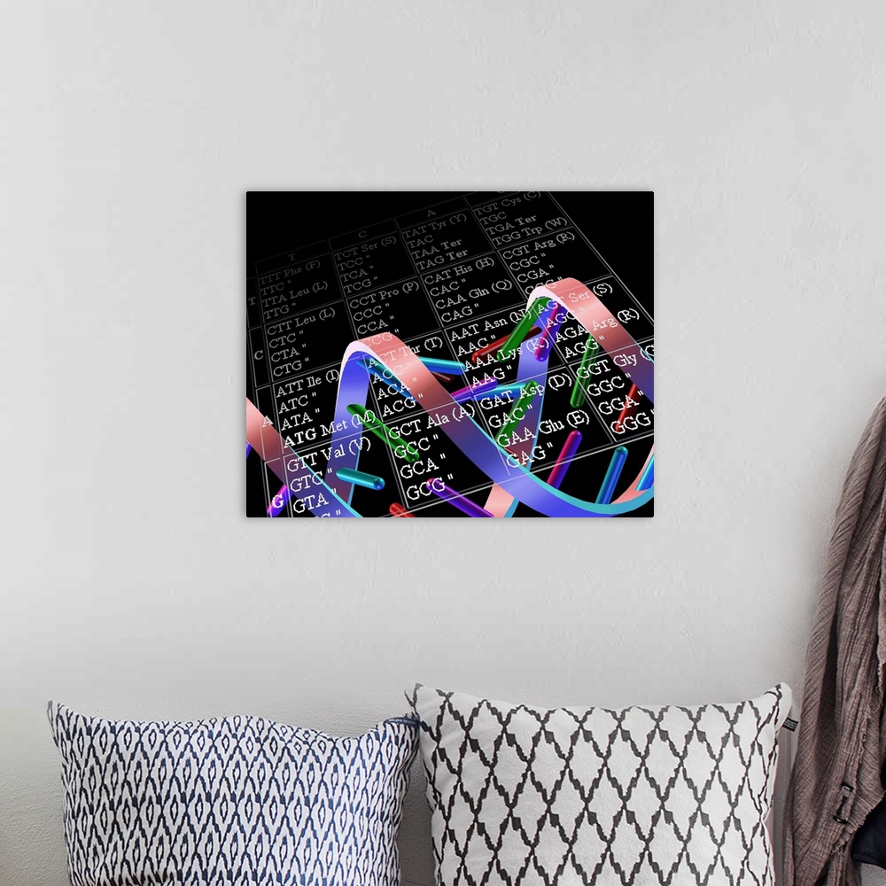 A bohemian room featuring Genetic code. Conceptual computer artwork of a DNA molecule overlaid with a table showing how a g...