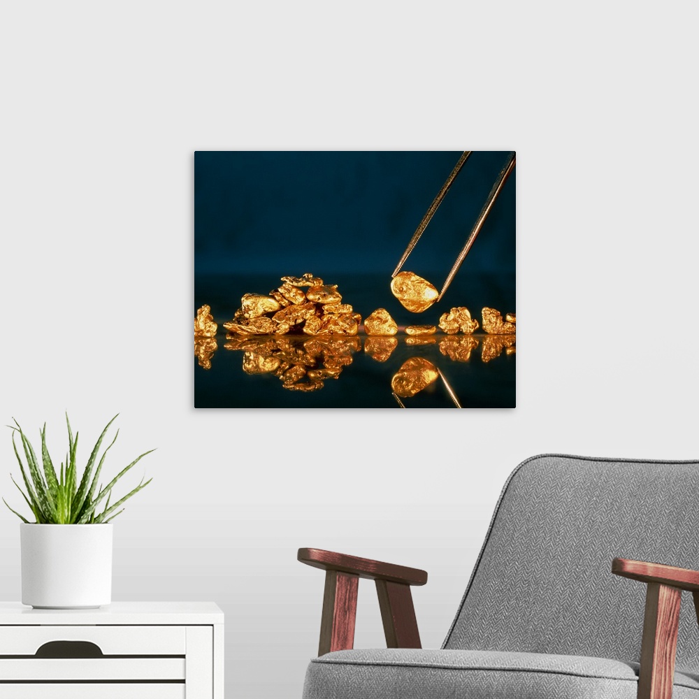 A modern room featuring Gold. Nuggets made of gold. Gold is the 79th element of the periodic table, and has a relative at...