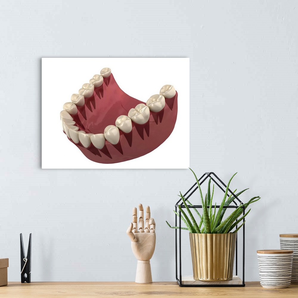 A bohemian room featuring Healthy teeth, computer artwork.