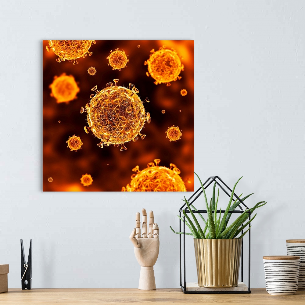 A bohemian room featuring HIV virus particles, computer artwork. Each particle (virion) consists of RNA (ribonucleic acid) ...