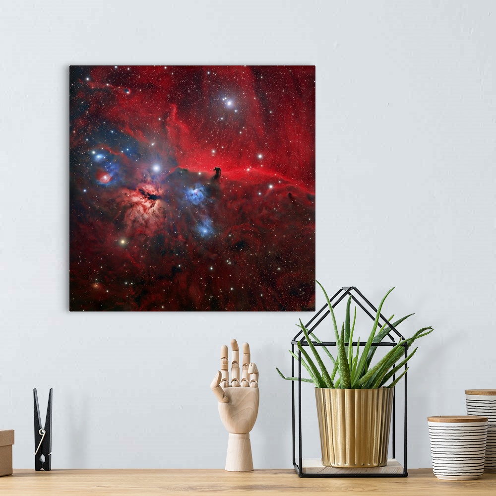 A bohemian room featuring Horsehead and Flame nebulae. Optical image of part of the Orion nebula complex, an enormous starb...