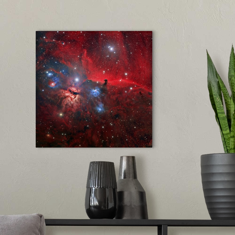 A modern room featuring Horsehead and Flame nebulae. Optical image of part of the Orion nebula complex, an enormous starb...