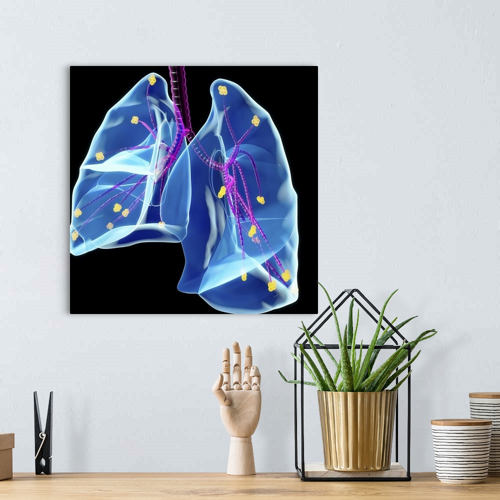 A bohemian room featuring Human lungs, computer artwork.