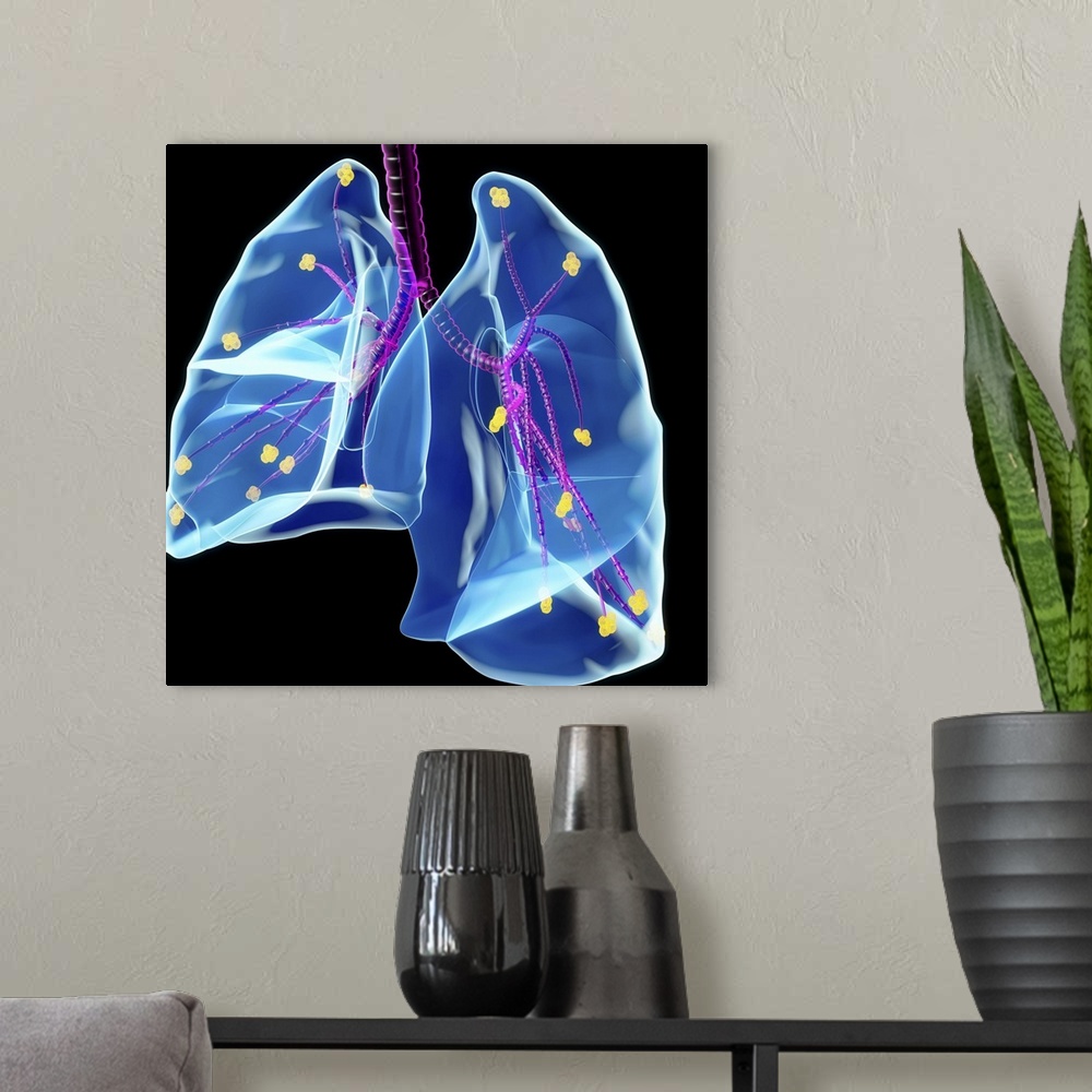 A modern room featuring Human lungs, computer artwork.