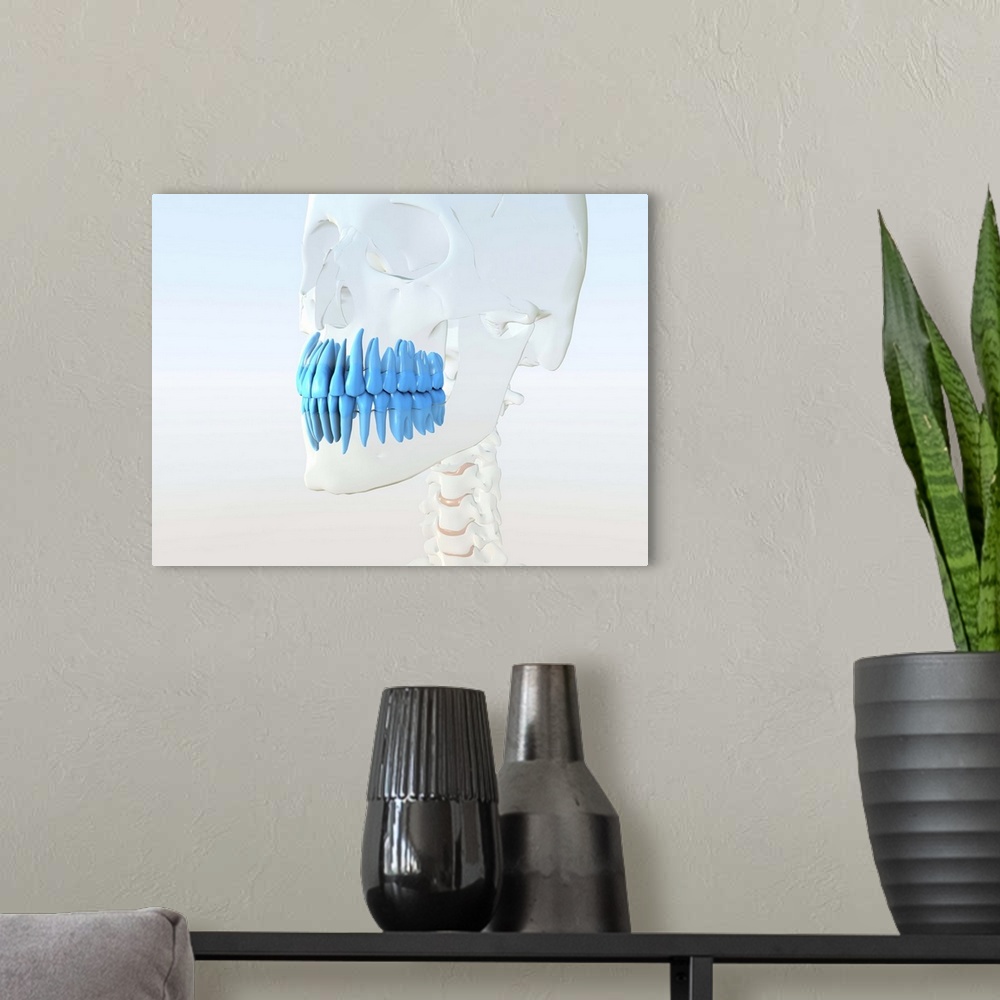 A modern room featuring Human skull, computer artwork. The glass skull contains blue teeth.