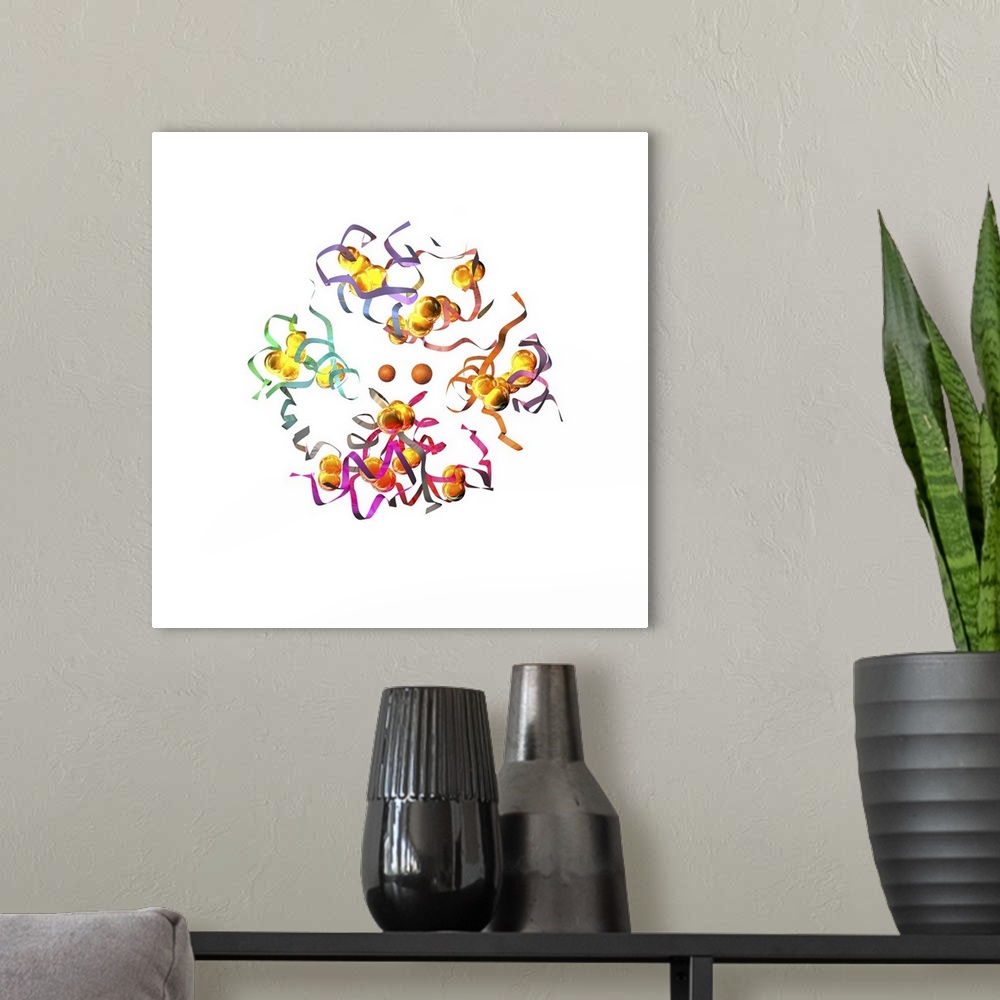 A modern room featuring Insulin molecule. Computer artwork of a molecule of insulin showing its secondary structure (ribb...