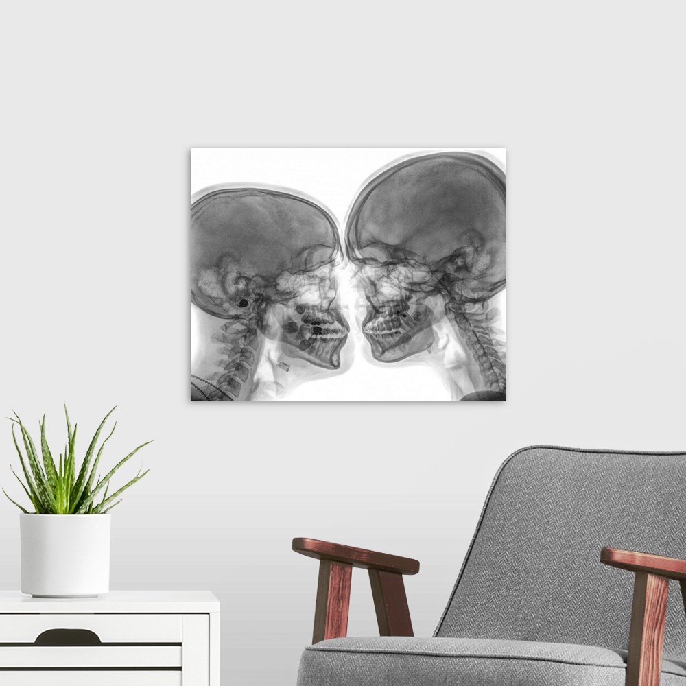 A modern room featuring Kissing Couple. Two people kissing under x-ray