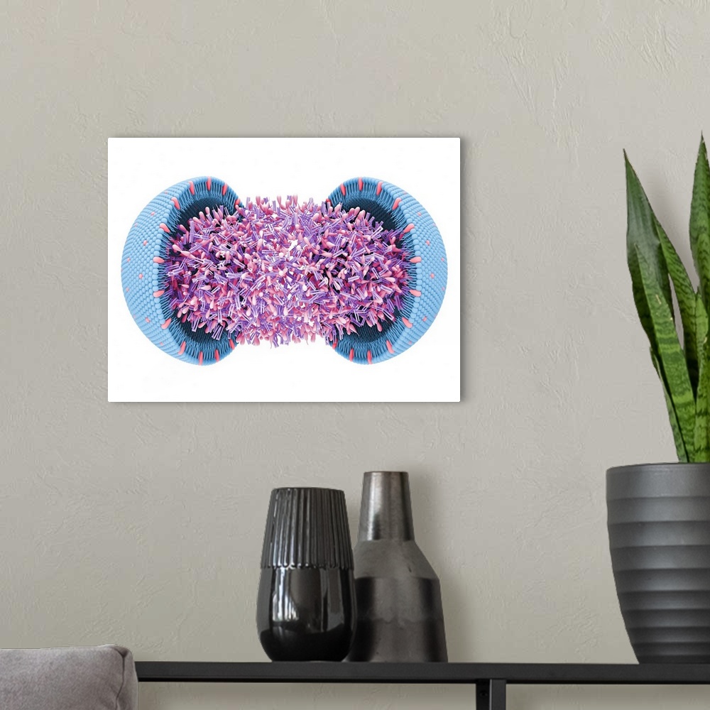 A modern room featuring Illustration of a lipoprotein, or cholesterol, molecule. It consists of a core of esterified chol...