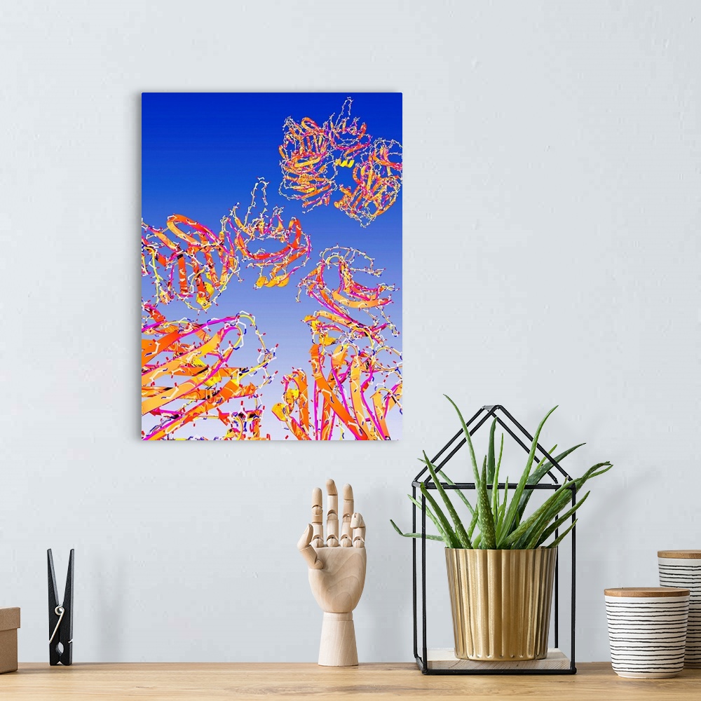 A bohemian room featuring C-reactive proteins, computer artwork. C-reactive proteins (CRPs) are produced by the liver durin...